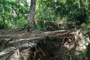 BIB: 
                            <button type="button" onclick="openModal(27799952)" class="btn btn-primary btn-sm float-right btn-popup" data-toggle="modal" data-target=".modal-high-quality">
                        <i class="fas fa-shopping-cart"></i> Add to Cart
                    </button>
                                            <button type="button" onclick="isThisMe(27799952, true)" class="btn btn-success btn-sm float-right btn-popup btn-isme hidden" data-toggle="tooltip" data-placement="bottom" title="นี่คือรูปของคุณใช่ไหม คลิกที่นี่เพื่อเอาเข้าอัลบั้ม">
                        <i class="fas fa-plus"></i> Add to album
                    </button>
                    <button type="button" onclick="isThisMe(27799952, false)" class="btn btn-warning btn-sm float-right btn-popup btn-isnotme hidden">
                        <i class="fas fa-ban"></i> Remove from album
                    </button>